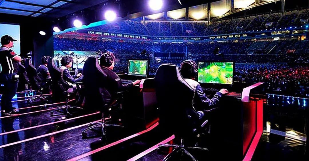 灰熊的赛季 灰熊的赛季